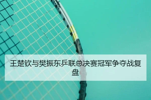 王楚钦与樊振东乒联总决赛冠军争夺战复盘
