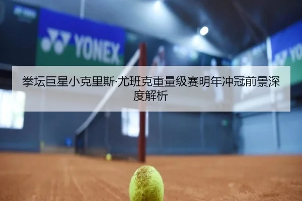 拳坛巨星小克里斯·尤班克重量级赛明年冲冠前景深度解析